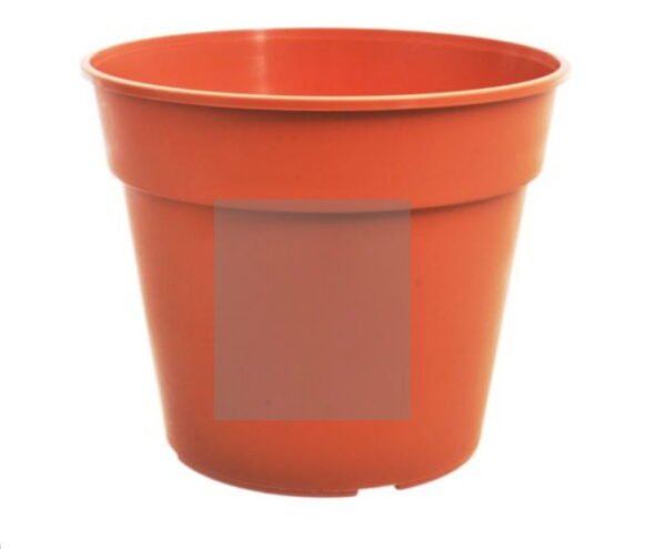 Maceta1