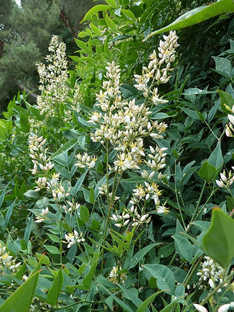 Jardín Urbano