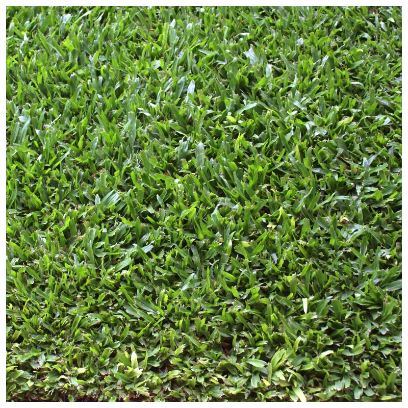 Césped brasilero de calidad superior. Metro cuadrado. - Imagen 2