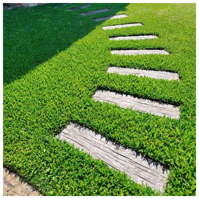 Césped brasilero de calidad superior. Metro cuadrado. - Imagen 4