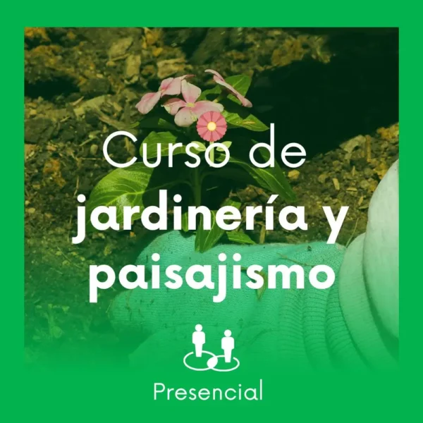 Curso de jardinería y paisajismo básico Presencial