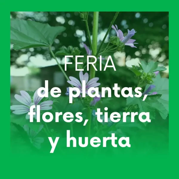 FERIA de plantas, flores, tierra y huerta