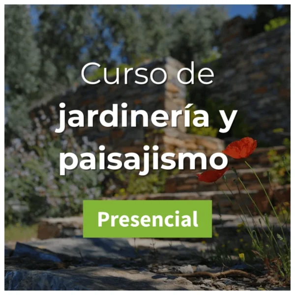 Curso de jardinería y paisajismo básico Presencial