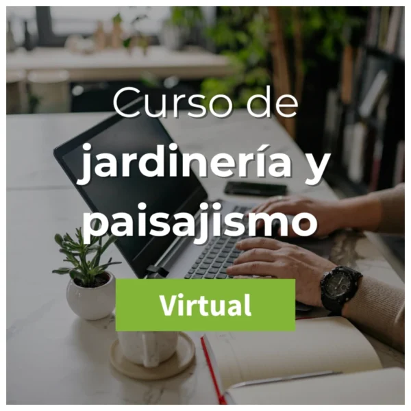 Curso de jardinería y paisajismo básico Virtual