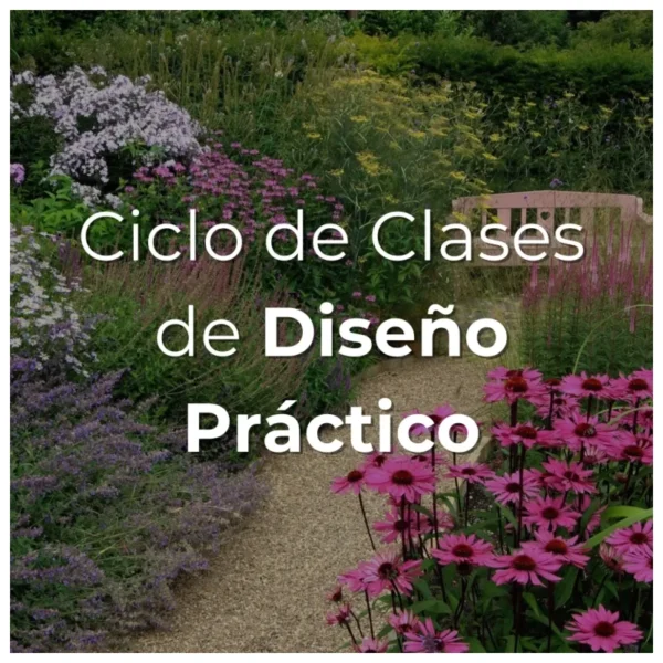 Ciclo de clases de diseño práctico