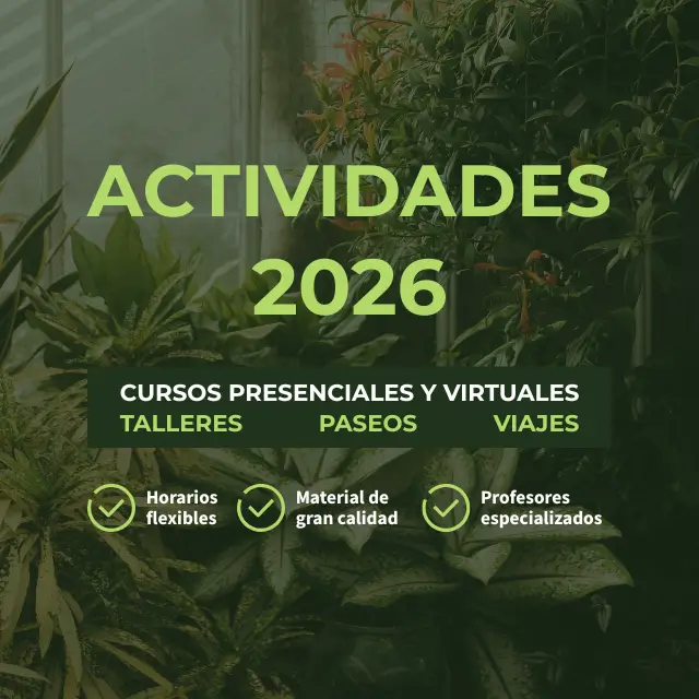 Banner_Actividades_Mobile