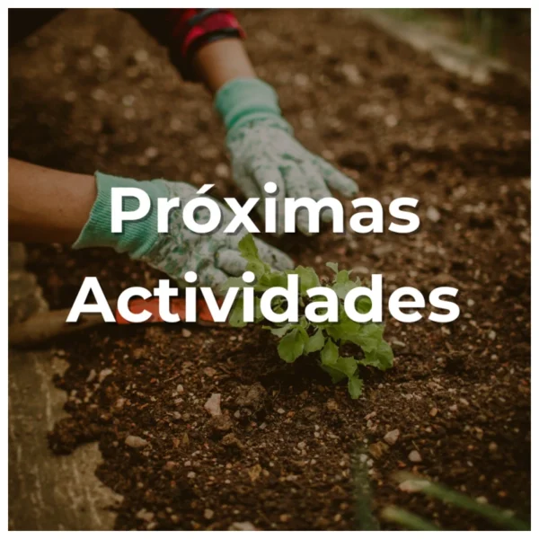 Próximas actividades