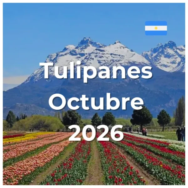 Tulipanes Octubre 2026
