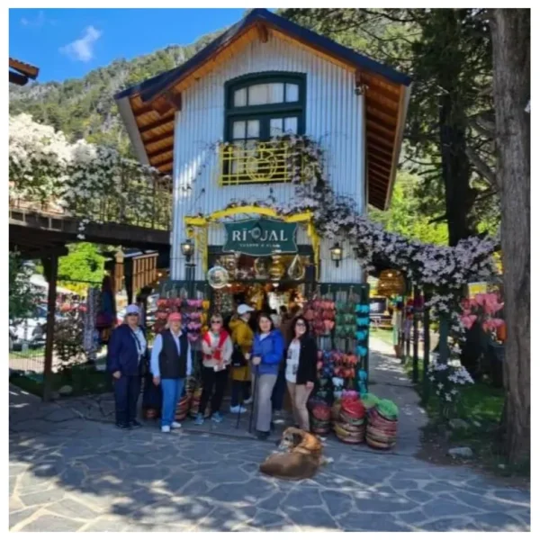 Alternative view of Tulipanes Octubre 2026