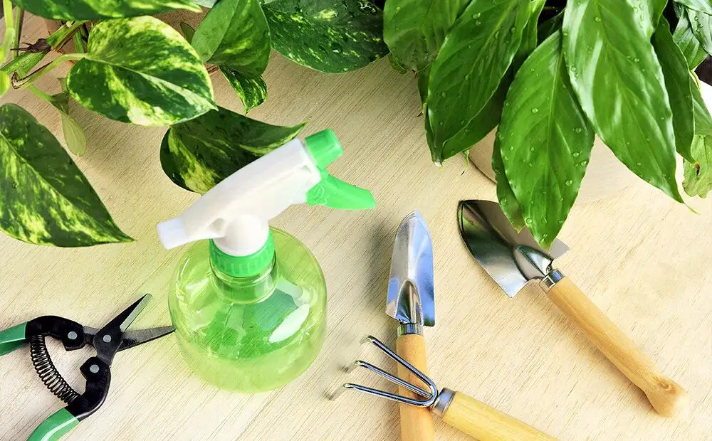 Foto de herramientas de jardinería