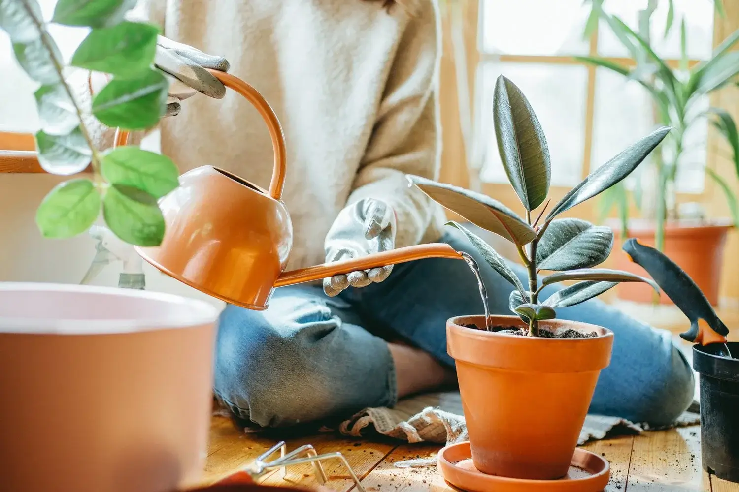 Foto de persona regando planta