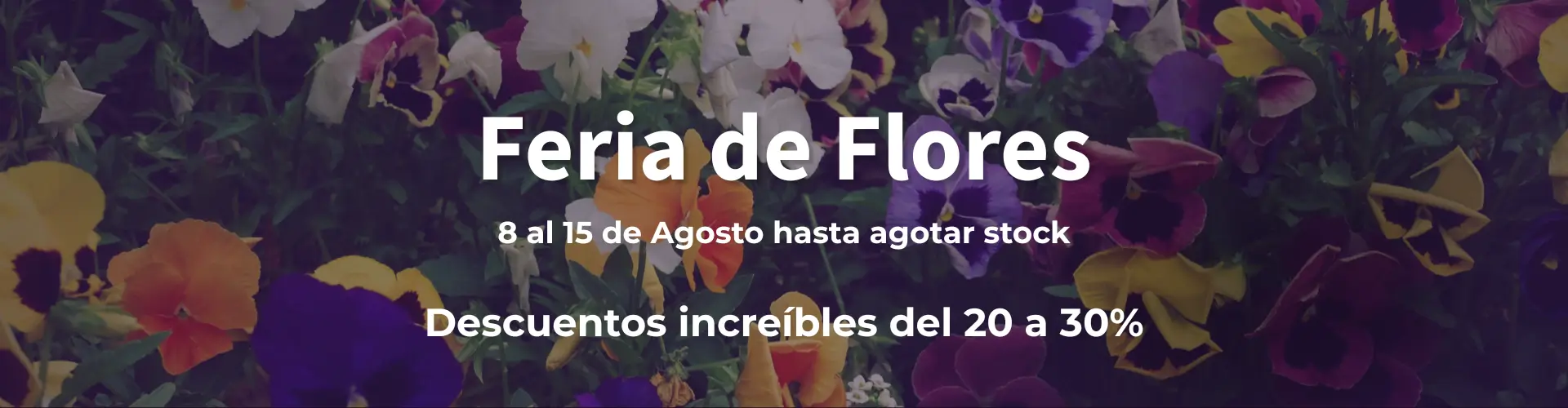 Banner Flores