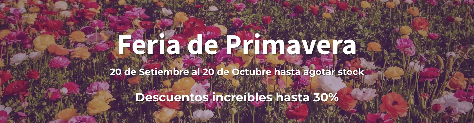 Banner Flores