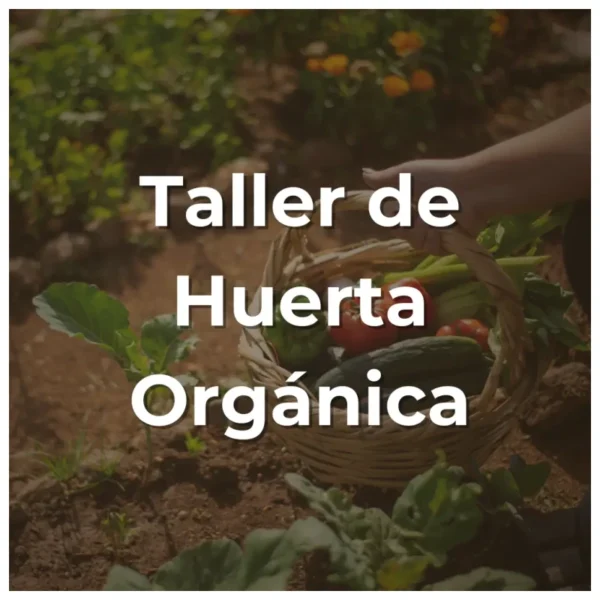 Taller de Huerta Orgánica