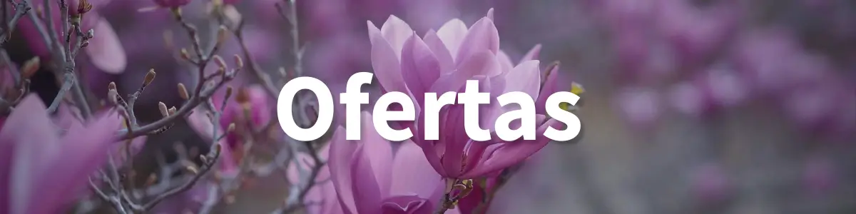 Banner Ofertas