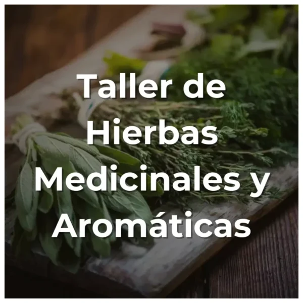 Taller de Hierbas Medicinales y Aromáticas