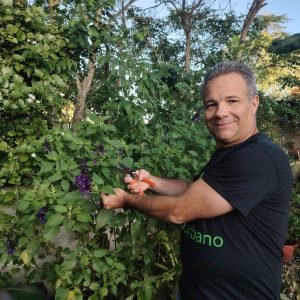 WhatsApp Image 2026-01-19 at 20.36.58 (1)