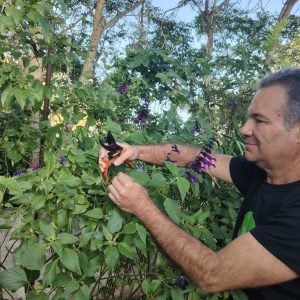 WhatsApp Image 2026-01-19 at 20.36.59 (1)