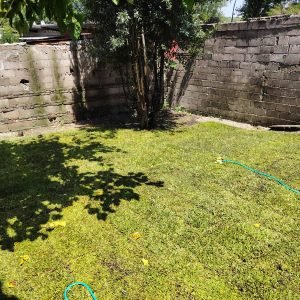 cesped brasilero uruguay